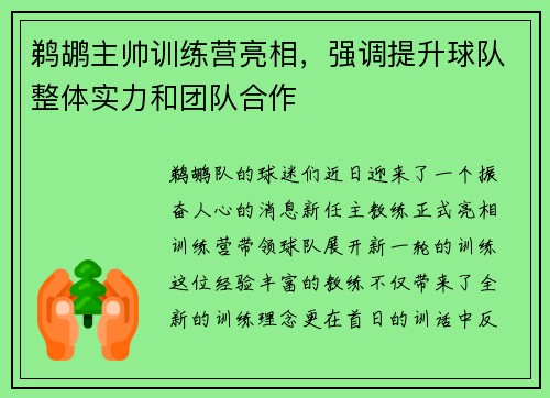 鹈鹕主帅训练营亮相，强调提升球队整体实力和团队合作