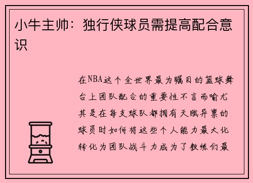 小牛主帅：独行侠球员需提高配合意识