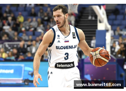 雷火电竞德拉季奇：从斯洛文尼亚小城到NBA巅峰